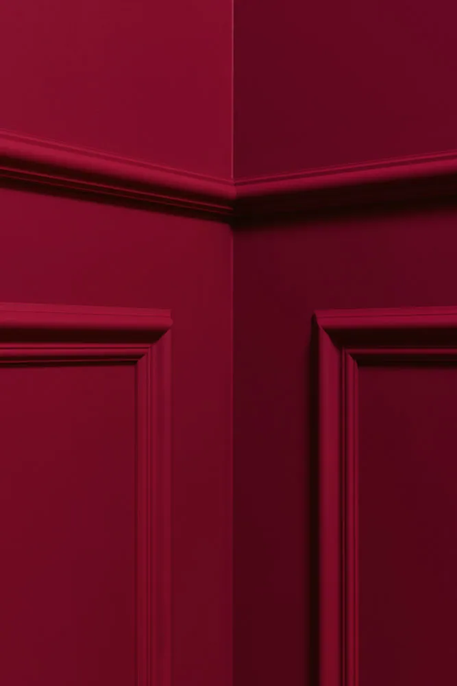 Sztukateria Orac Decor