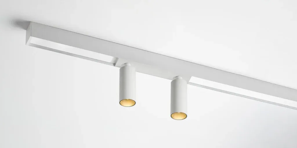 RAY System NT